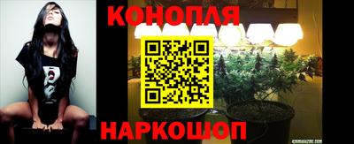 ГАЛЛЮЦИНОГЕННЫЕ ГРИБЫ Будённовск