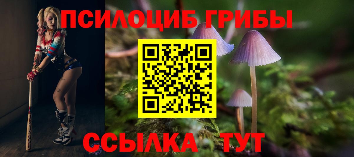 Псилоцибиновые грибы прущие грибы  как найти   Галлюциногенные грибы Psilocybe  Нижнекамск  Вход с VPN 