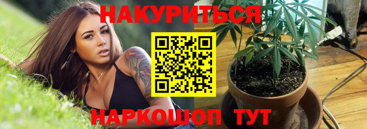 Бошки марихуана сатива  Каннабис план  Вход с VPN  Нижнекамск  Канабис Amnesia 